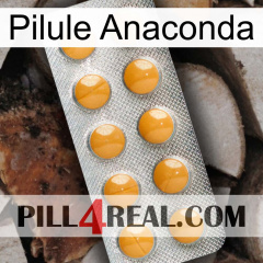 Anaconda Pill levitra1